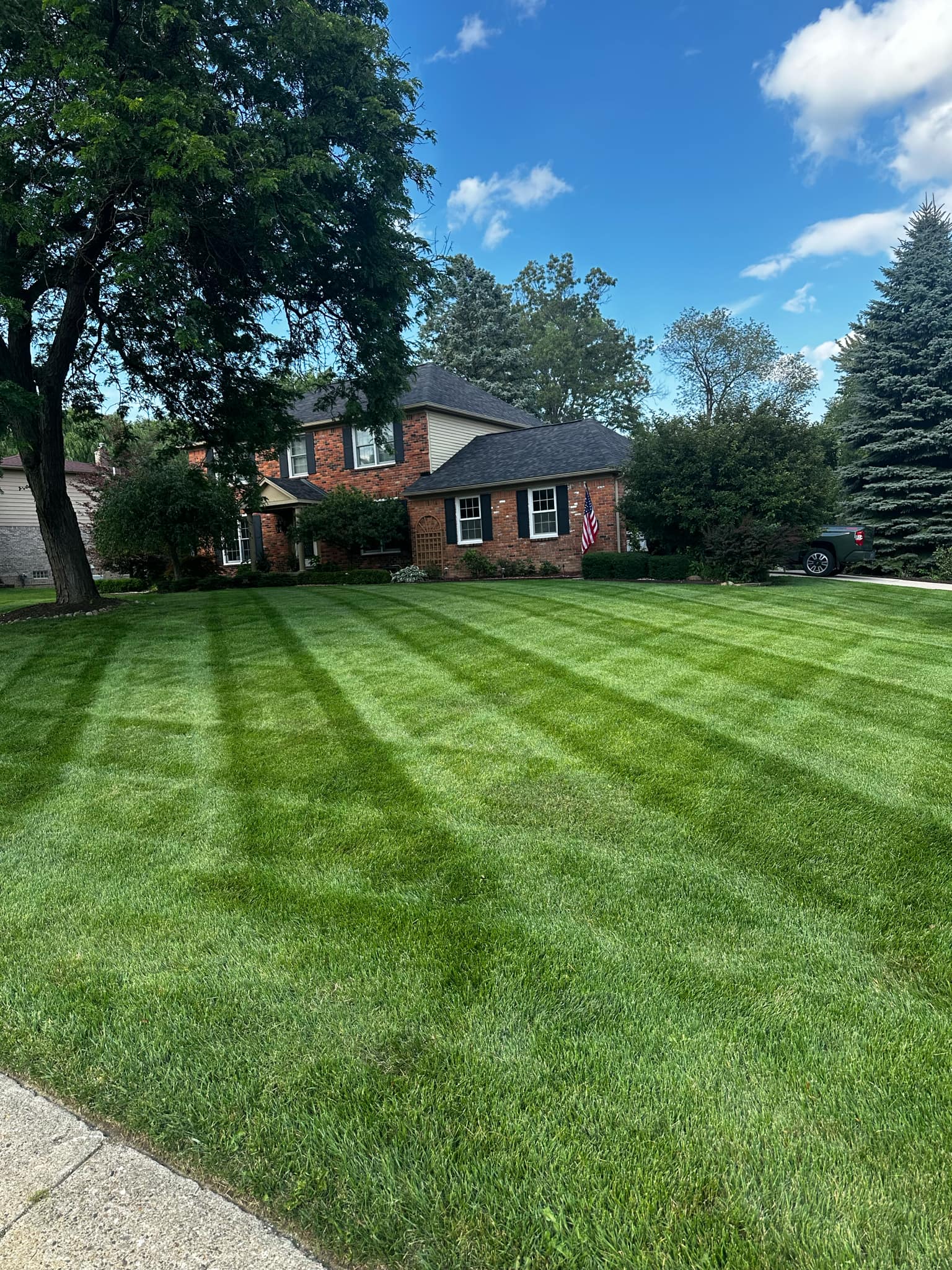 Professional lawn care in Metro Detroit